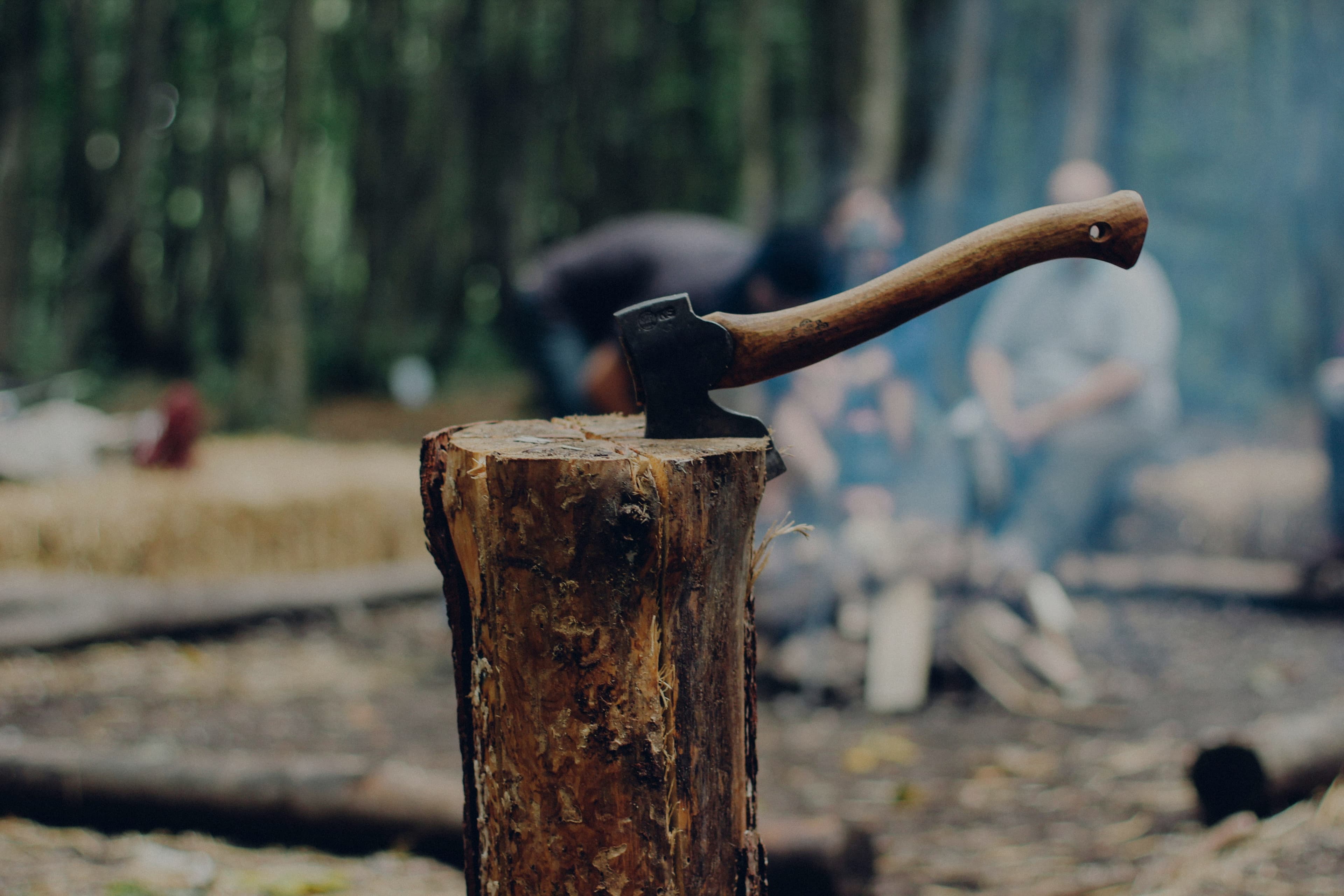 Tree Cutting