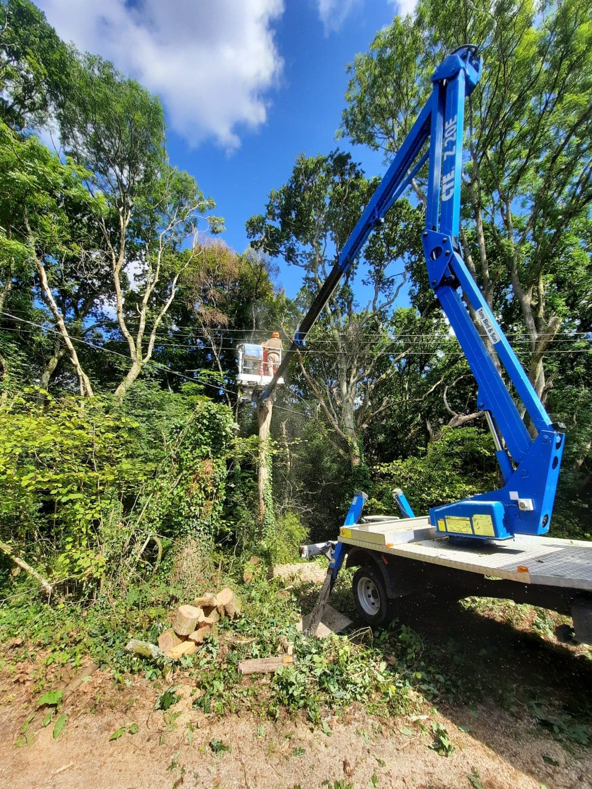 Truck-mounted cherry picker set up beside a tree