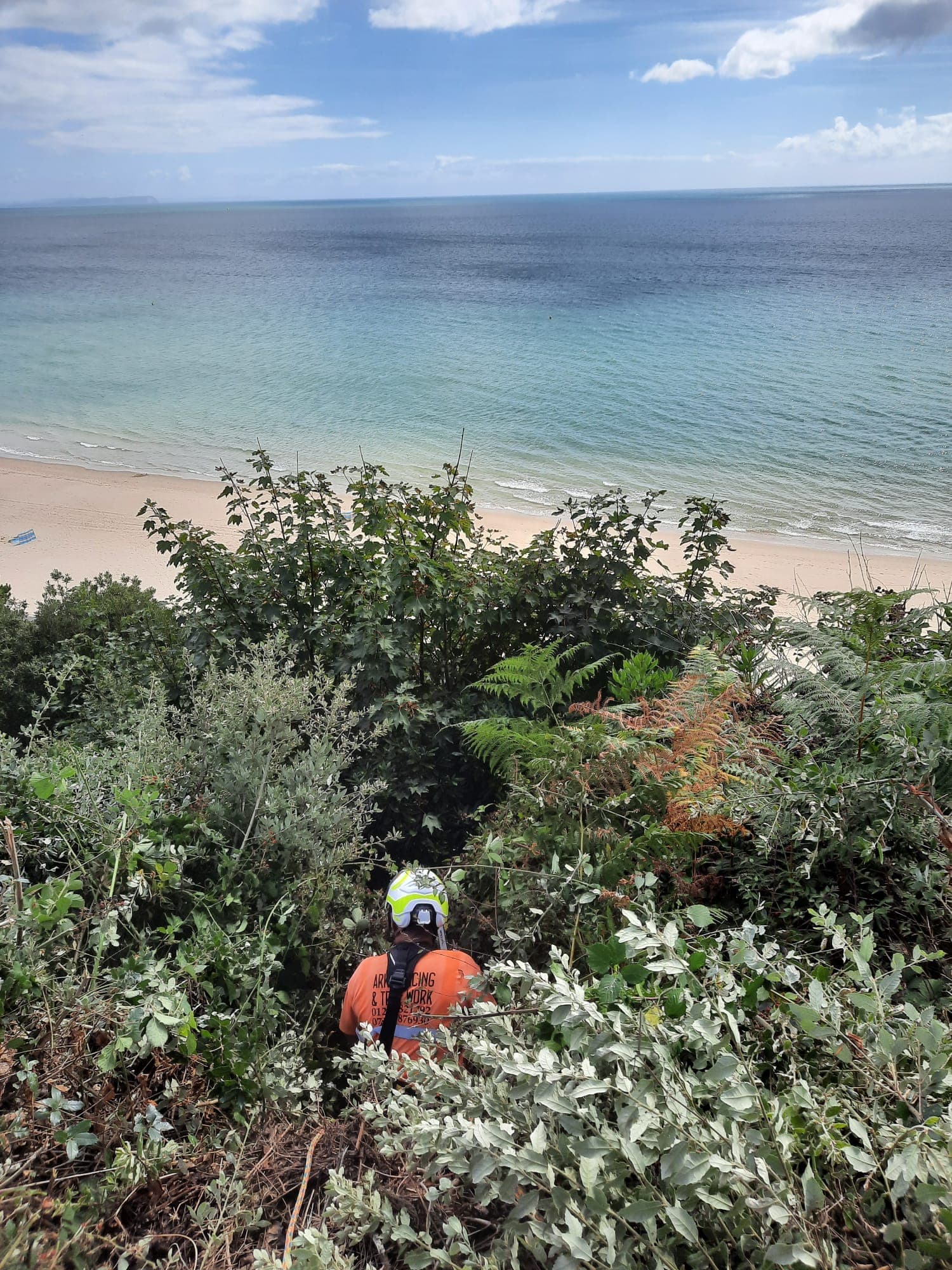 Clearing scrub on a slope above the beach