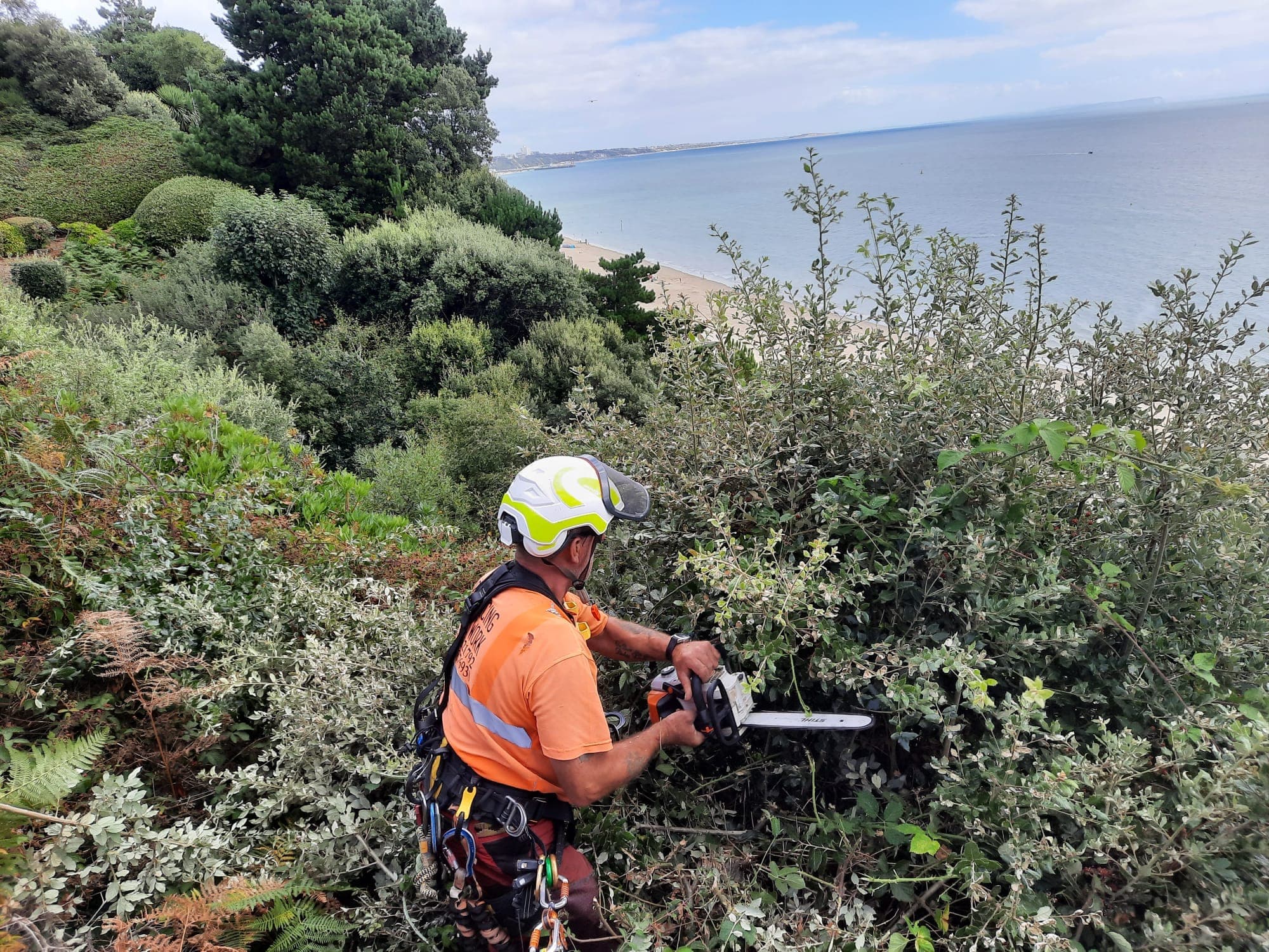 Cutting back hedging on a cliff-top above the sea