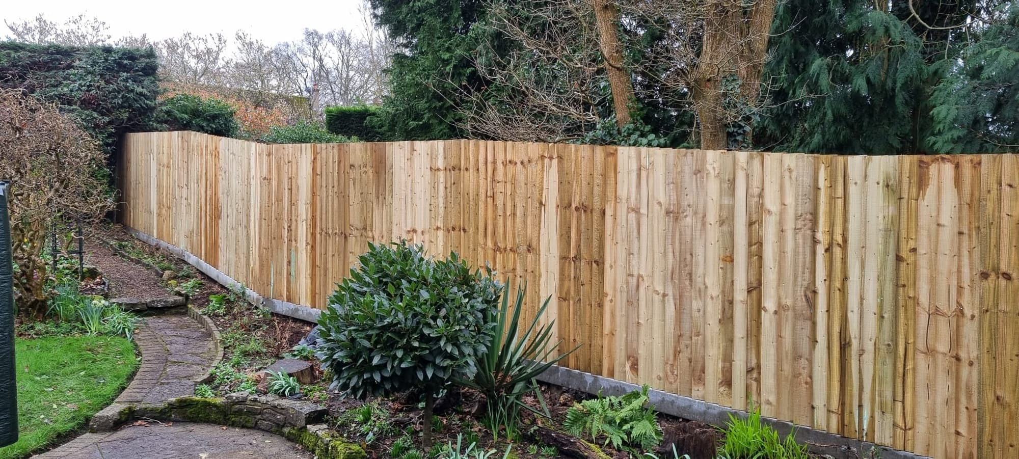 New featherboard fence running along a garden path