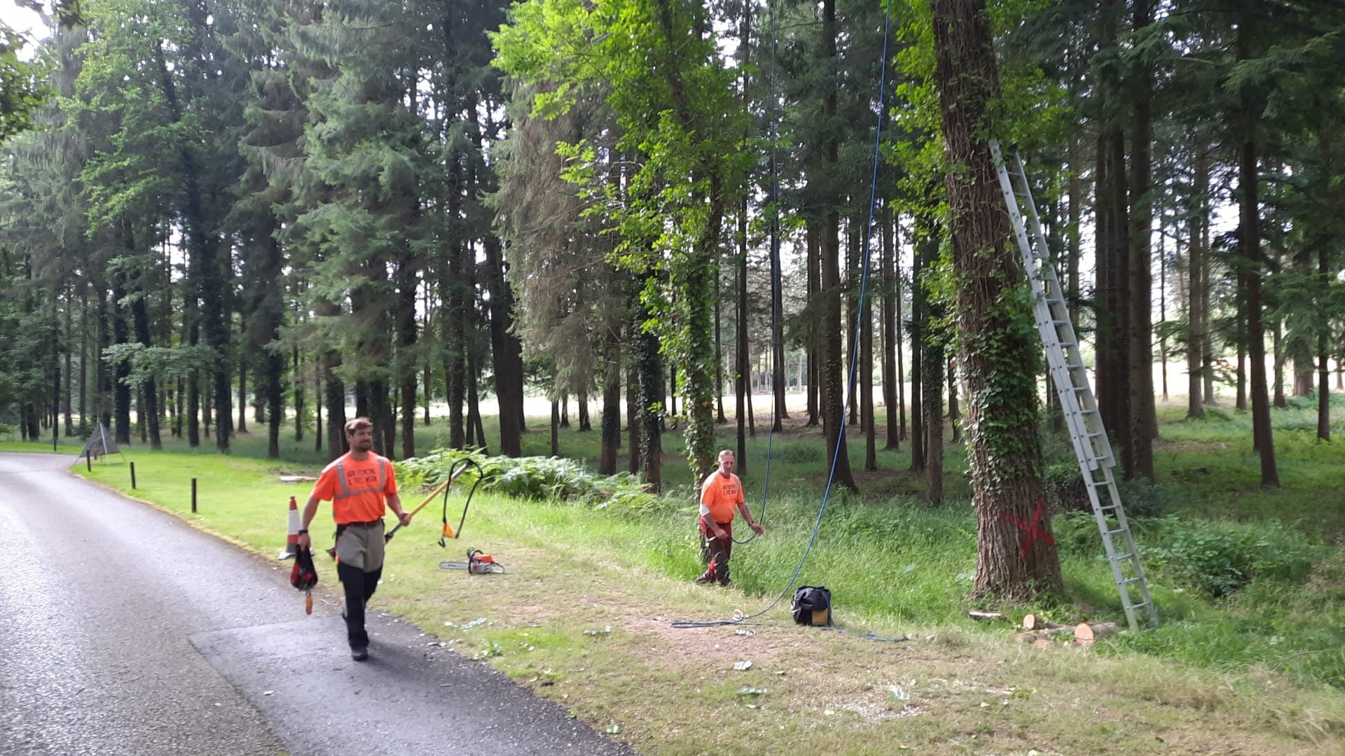 Two team members working along a woodland driveway